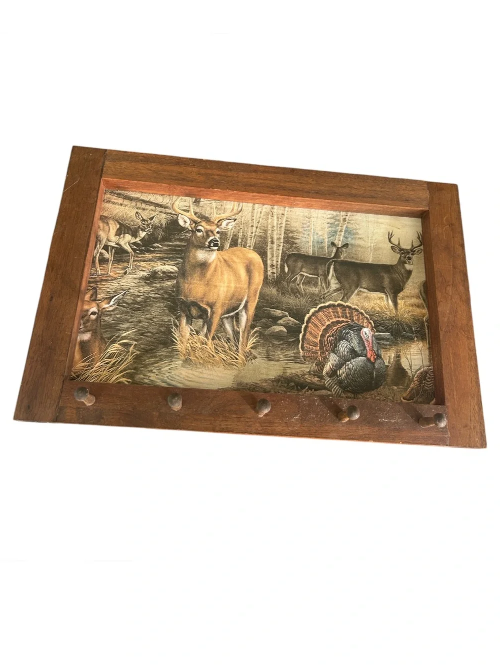 Vintage Framed Wildlife Wall Art with Pegs